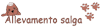 Logo di ALLEVAMENTO SALGA