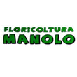 Logo di FLORICOLTURA MANOLO