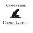Logo di FABBRO CESARINI LUCIANO