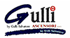 Logo di GULLI ASCENSORI