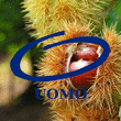 Logo di OLTREMARE UOMO