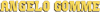 Logo di ANGELO GOMME