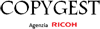Logo di RICOH ITALIA AGENZIA DI UDINE