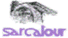 Logo di SARCATOUR
