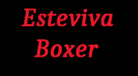Logo di ESTEVIVA BOXER