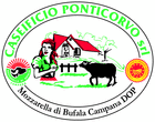 Logo di CASEIFICIO PONTICORVO