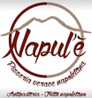 Logo di NAPUL' E' PIZZERIA VERACE NAPOLETANA RISTORANTE CUCINA TIPICA MARINARA