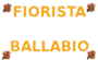Logo di FIORISTA BALLABIO