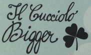 Logo di IL CUCCIOLO