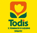 Logo di TODIS