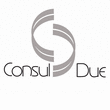 Logo di CONSUL DUE
