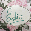 Logo di ESTRO