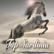 Logo di TOP SARDINJA