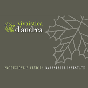 Logo di VIVAISTICA D'ANDREA