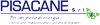 Logo di PISACANE IMPIANTI ILLUMINAZIONE