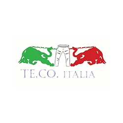 Logo di TE. CO. ITALIA