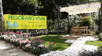 Logo di PEGORARO VIVAI