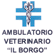 Logo di AMBULATORIO VETERINARIO IL BORGO DOTT. TESSARI ANDREA