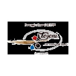 Logo di TOSONI RENATO