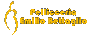 Logo di PELLICCERIA BETTAGLIO