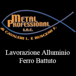 Logo di METAL PROFESSIONAL