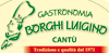 Logo di BORGHI LUIGINO