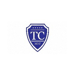 Logo di TRAVEL CARS - NCC & TAXI PRIVATO