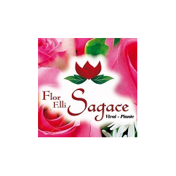 Logo di FLOR F.LLI SAGACE