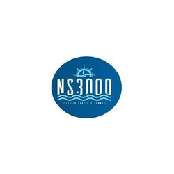 Logo di NS3000