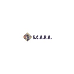 Logo di CENTRO REVISIONI S.C.A.R.A.