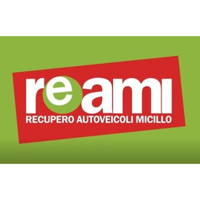 Logo di RE.A.MI.