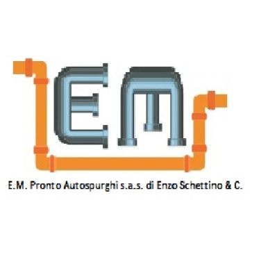 Logo di E.M. PRONTO AUTOSPURGO