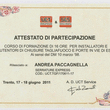 Logo di PACCAGNELLA A.