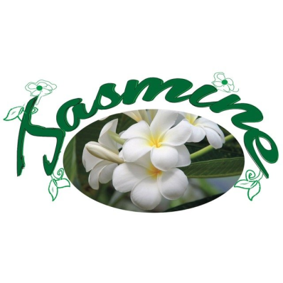 Logo di JASMINE PIANTE ARTIFICIALI