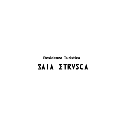 Logo di BAIA ETRUSCA