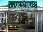 Logo di VIVAIO NOARO
