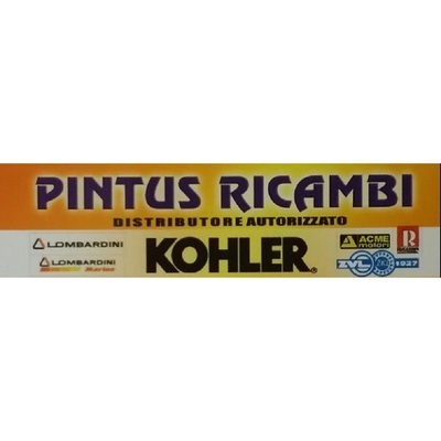 Logo di PINTUS RICAMBI