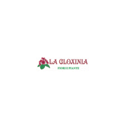 Logo di LA GLOXINIA FIORI E PIANTE