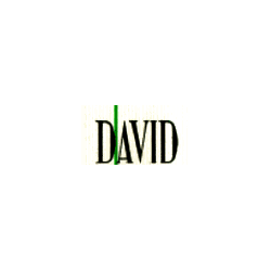 Logo di IL NUOVO DAVID