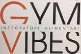 Logo di GYM VIBES