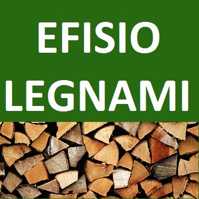 Logo di EFISIO LEGNAMI