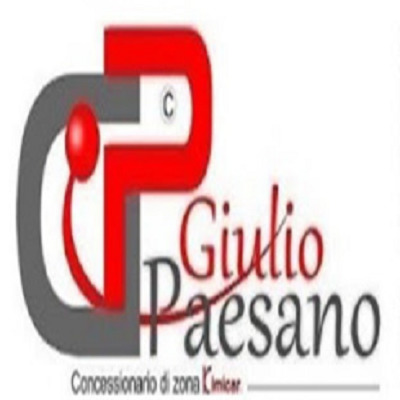 Logo di PAESANO GIULIO
