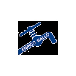 Logo di GALLO ENRICO