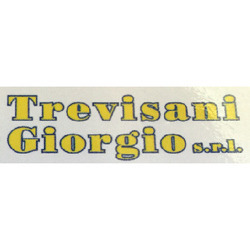 Logo di TREVISANI GIORGIO