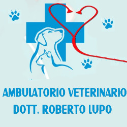 Logo di LUPO DR. ROBERTO
