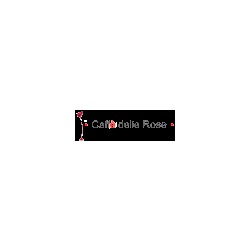 Logo di CAFFÈ DELLE ROSE