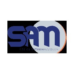Logo di S.A.M. - SERVIZI ASSICURATIVI MAZZOLENI