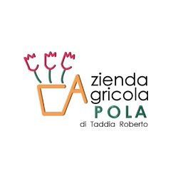 Logo di AZIENDA AGRICOLA POLA VIVAI