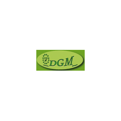 Logo di DGM
