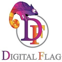 Logo di DIGITAL FLAG